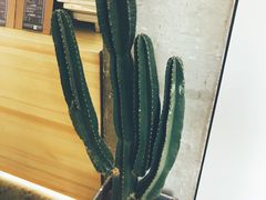 -铁手珈琲制造局metalhands(望京店)