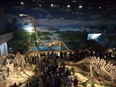 -自贡恐龙博物馆