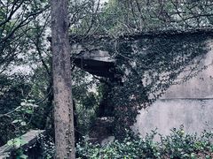 -上海佘山国家森林公园天马山园