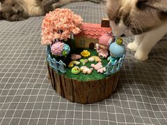 -Summer House夏莫手工坊团建活动(世博源店)