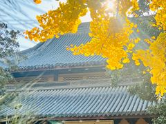 -龙华寺