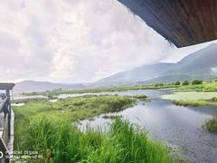 -腾冲北海湿地