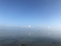 -北海金海湾红树林生态旅游区