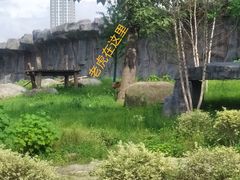 -武汉动物园