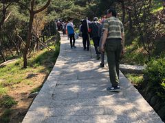 -崂山仰口游览区