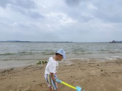 -瑶湖郊野森林公园