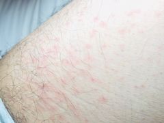 -臻江南影院式足道(雅安店)