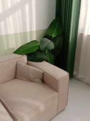 -小阿福儿童摄影(华中智谷店)