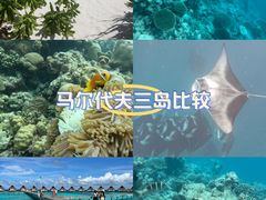 -中央格兰德岛温泉度假酒店 - 全包