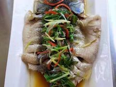 -大班家政月嫂育儿嫂(深圳NO.1店)