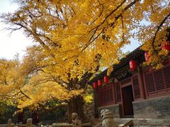 -晋祠公园