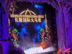 -广州长隆国际大马戏
