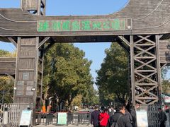 -溱湖国家湿地公园