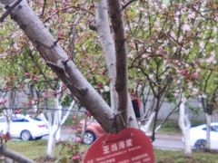 -武昌江滩