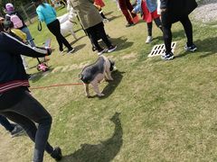 -前小桔亲子创意农场·草莓采摘·露营烧烤