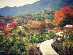 -塔川景区