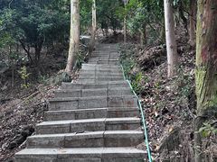 -小南山公园