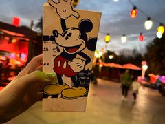 -上海迪士尼度假区