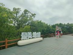 -大青沟风景区