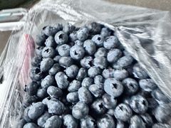 -南坛综合农贸市场