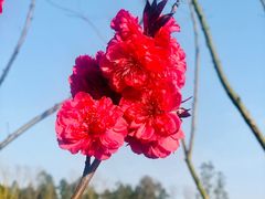 -白鹭湾湿地公园