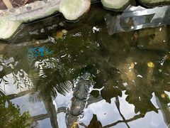 -上海大自然野生昆虫馆(东方明珠·爬宠昆虫探索中心)