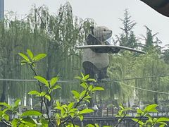 -成都市活水公园