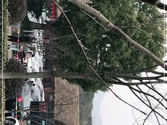-杭州野生动物世界