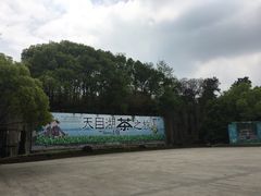 -天目湖山水园