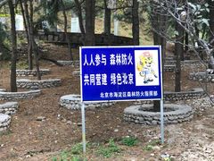 -北京鹫峰国家森林公园