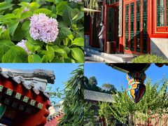 -北京颐和宾馆