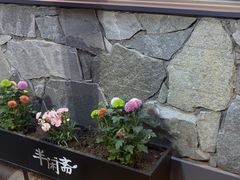 -半闲斋羊肉铺(齐礼阎店)