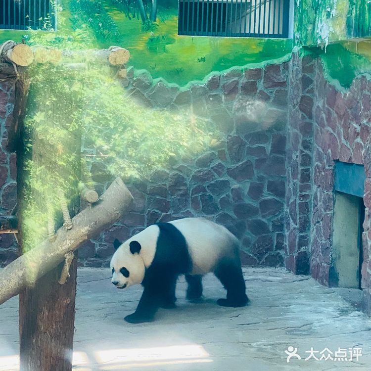 吃吃喝喝玩玩乐乐（贵州黔灵山）