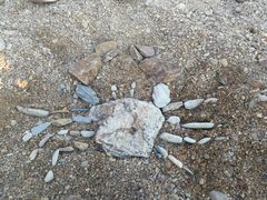 -明海妈妈菜(大连外国语学院店)