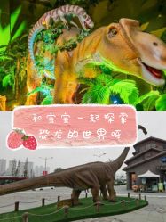 -恐龙探索乐园(磁器口店)