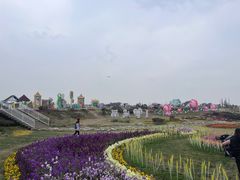 -空港花田景区