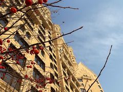 -大堂吧·下午茶·特调鸡尾酒(大连一方城堡豪华精选酒店)