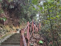 -南靖田螺坑土楼群景区