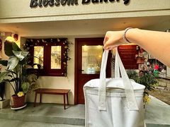 -花间烘焙BLossom Bakery