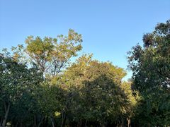 -艾溪湖湿地公园