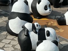 -星光大道