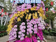 -北京植物园-展览温室