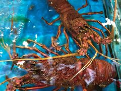 -清水湾3号(东方小周海鲜店)