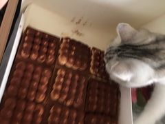 -中粮丰通（北京)食品有限公司