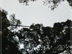 -凤栖山