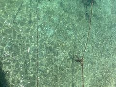 -东姑阿都拉曼海洋公园