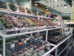 -KKV(天津津南吾悦广场店)