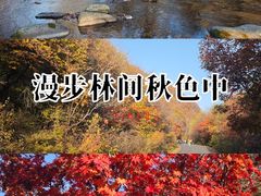 -洋湖沟