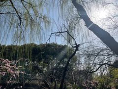 -圩墩遗址公园