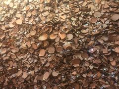 -巴人堂(女儿城店)